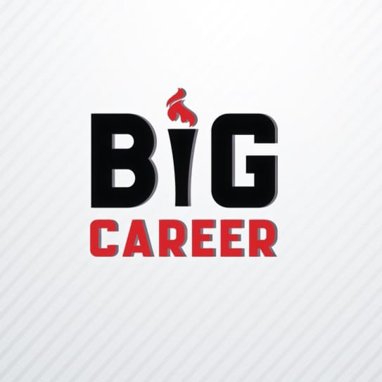 Big Career Group 